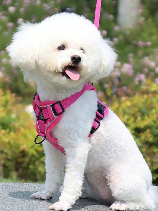 Reflective Pet Harness And Leash Set, Suitable For Dogs & Cats, Escape-Proof Adjustable Small Dog Chest Strap With Soft Mesh